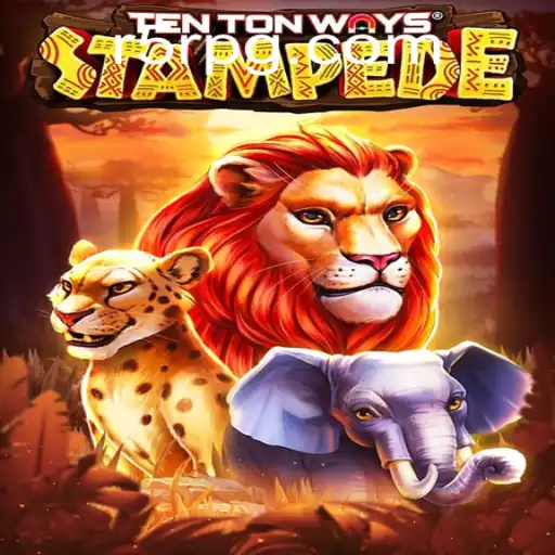 TenTonWaysStampede: A Thrilling Gaming Adventure at R5R.COM